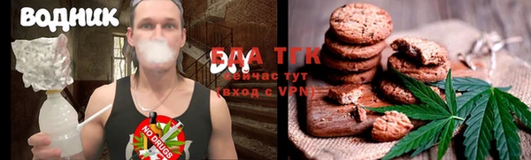 хмурый Бородино