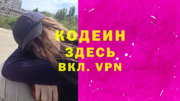 хмурый Бородино