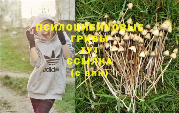 MESCALINE Бронницы