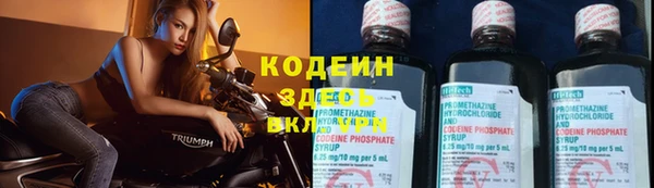 хмурый Бородино