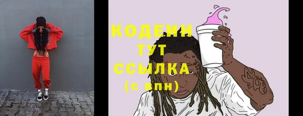 индика Верея