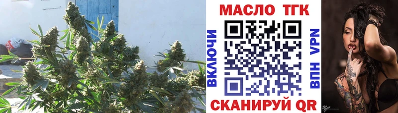Купить закладки  Курчатов  Дистиллят ТГК Wax 