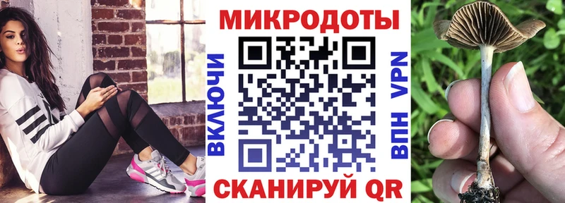 Купить закладки  Курчатов  Псилоцибиновые грибы мицелий 